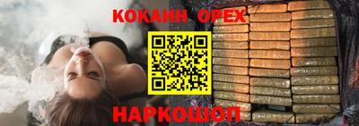 крисы Моздок