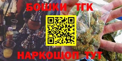 крисы Моздок