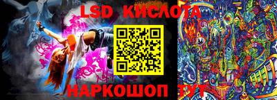 крисы Моздок