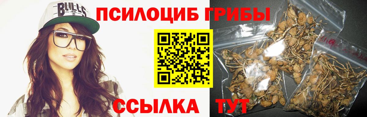 Биробиджан  Галлюциногенные грибы мухоморы  где продают   Вход с VPN 
